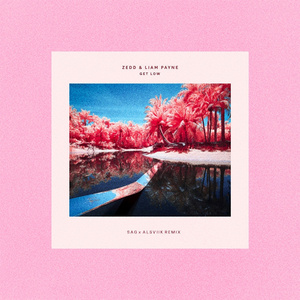 Get Low (SAG & Alsviik Remix)