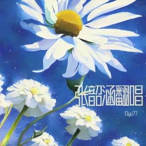 阿刁（Cover张韶涵）