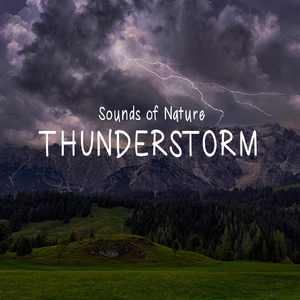 Thunderstorm in the Background, Pt. 39