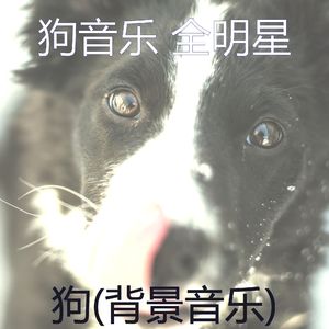 睡觉的小狗(好啊)