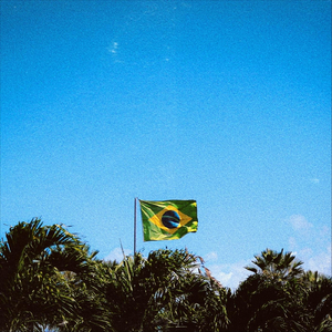 Drill Brasileiro (feat. $teev)