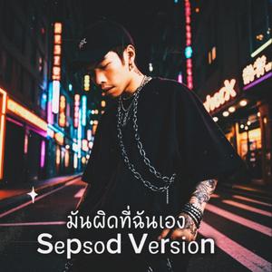 มันผิดที่ฉันเอง (Special Version)