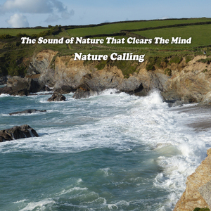 머리를 맑게 해주는 자연의 소리