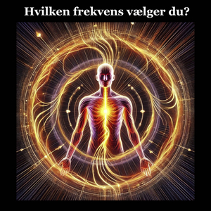 Hvilken Frekvens Vælger Du? (Bogens Tema)