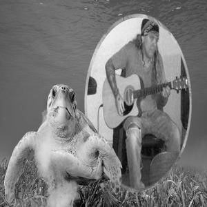 Dalyan (Vocalless 20 05)