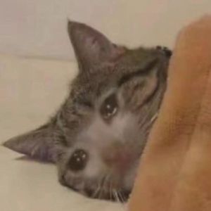 【FREE】花火 Beat II