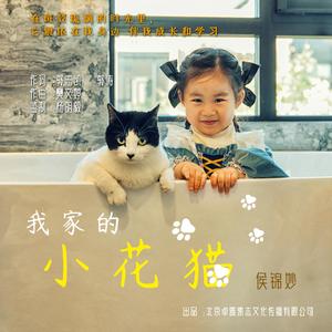 我家的小花猫