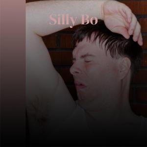 Silly Bo