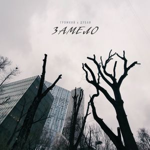 ЗАМЕЛО