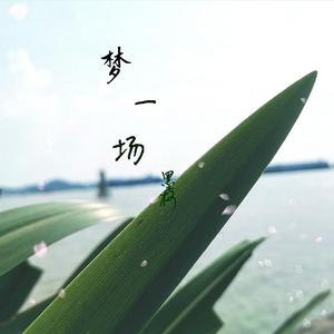 梦一场