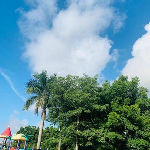 相逢的勇气