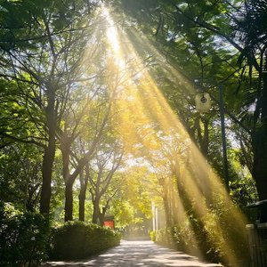 全世界最好的他