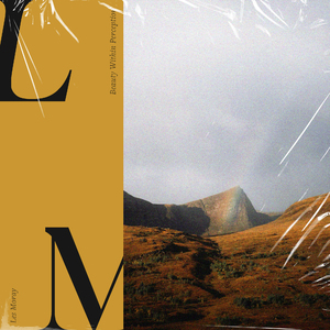 Beauty Within Perception