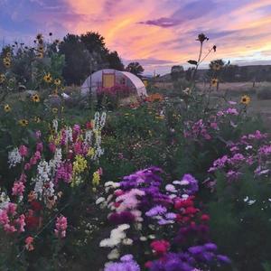 Sunflower Feelings （真没法弄 remix）