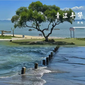 晴风漫染