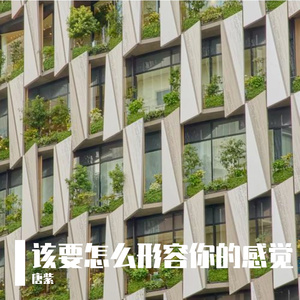 该要怎么形容你的感觉-整曲