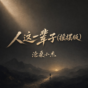 人这一辈子(摇摆版)