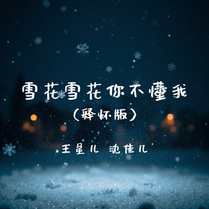 雪花雪花你不懂我(释怀版)