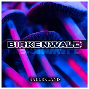 Birkenwald