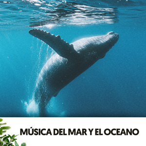 Susurros melódicos de agua