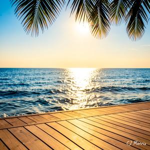 Lifelong Summer