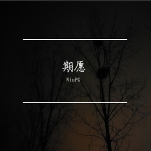 期愿