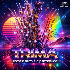 Motocicleta e Lambreta