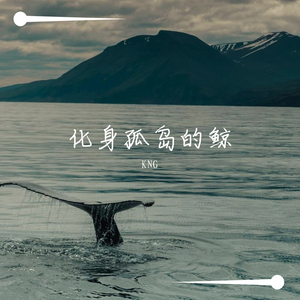 化身孤岛的鲸