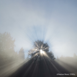 看山还是山 Live 528Hz