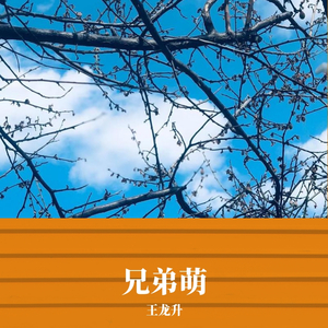 这是谁的故事-这是谁的故事