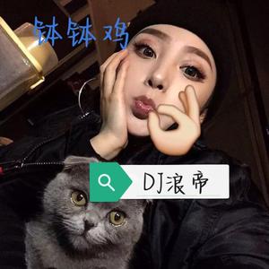 一元一串的钵钵鸡 (浪帝v3版)