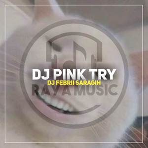 DJ PINK TRY