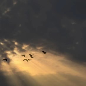 所以，海的那边是什么