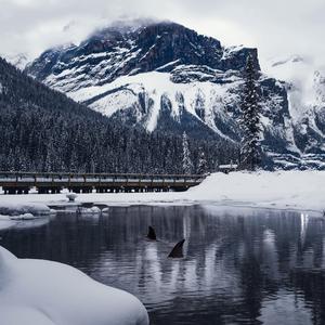 Holup, Wait. (feat. Ether Tha Reaper)