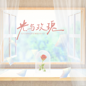 光与玫瑰
