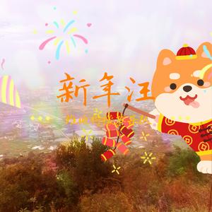 新年汪