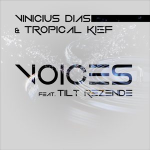 Voices (Original Mix)