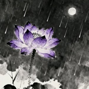 雨夜观花