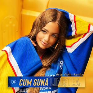 Cum Sună Liniștea (Arty Violin Remix)