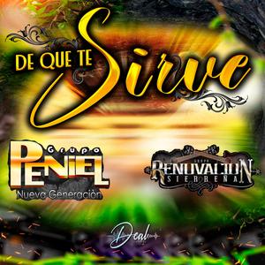 DE QUE SIRVE (feat. GRUPO RENOVACION SIERREÑA)