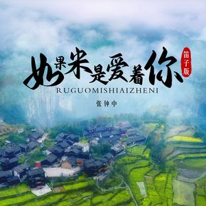 如果米是爱着你（笛子版）