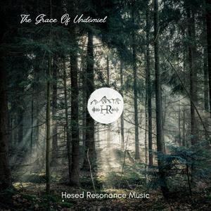 The Grace Of Undomiel