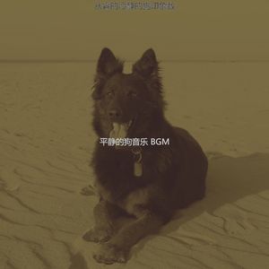 诗意的睡狗节奏