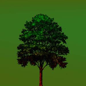 Why This Kolaveri Di