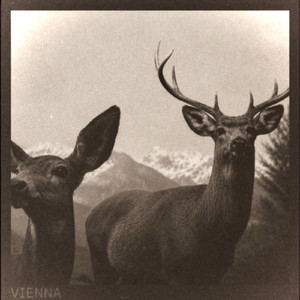 Vienna (Remastered Version 2026)
