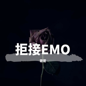 孙楠-美丽的神话（哥哥 remix）