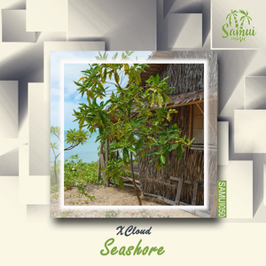 Seashore (Original Mix)