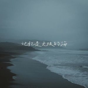 记忆是无垠的海