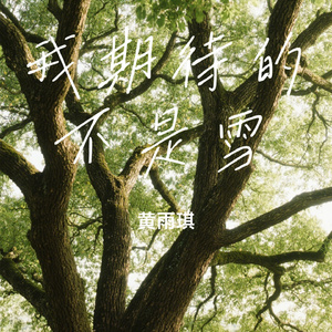 我期待的不是雪