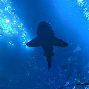 对的人相认 不用等 不用问